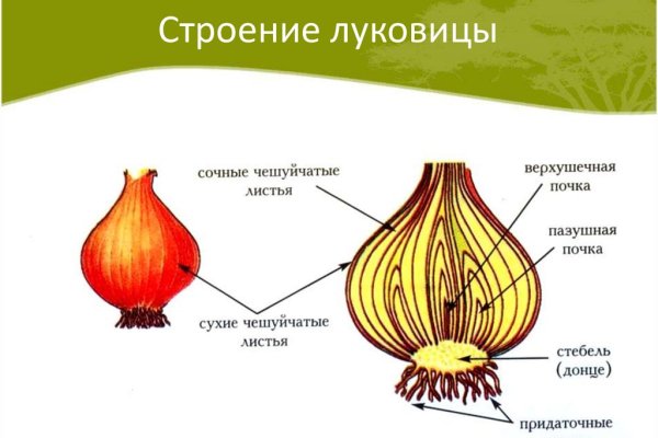 Блэкспрут как зайти blacksprut2web in